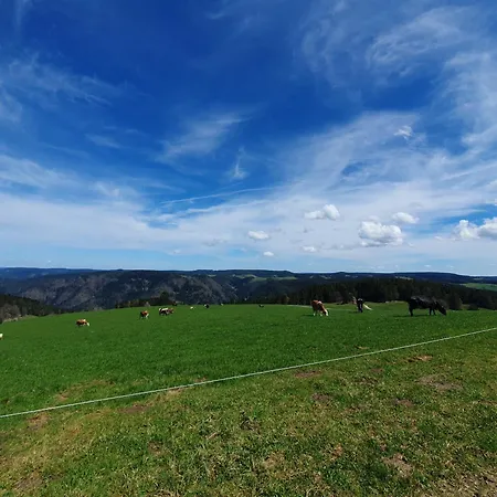 Haus Schanzenblick Gaestezimmer 6 Mit Bad Und Terrasse 3* Schonach im Schwarzwald
